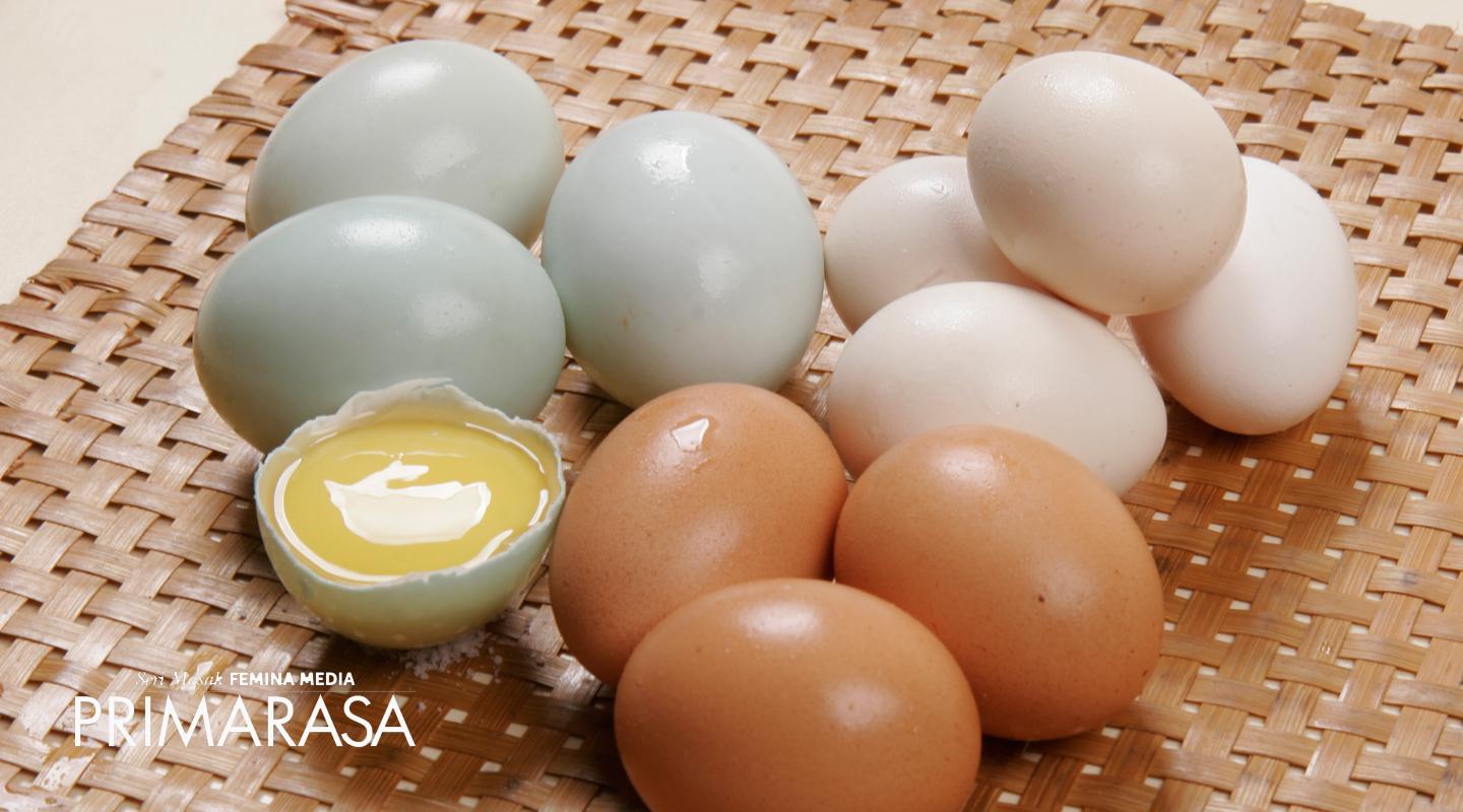 Telur Ayam Vs Telur Bebek di Dalam Masakan