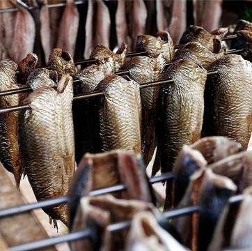 3 Jenis Ikan yang Sering Dipakai dalam Masakan Indonesia